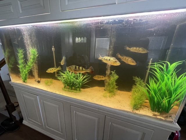 IMG_8096.jpeg IMG_8096.jpeg