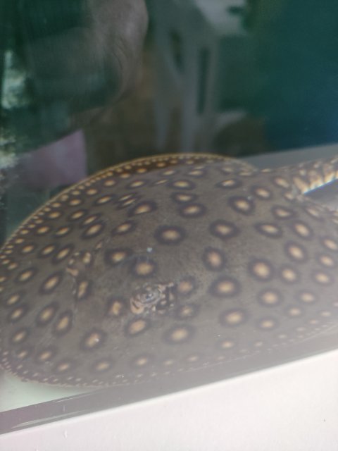 IMG20230725135515.jpg