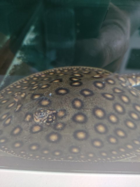 IMG20230725135504.jpg
