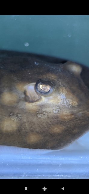 Screenshot_2023-07-25-18-42-38-726_com.miui.gallery.jpg Screenshot_2023-07-25-18-42-38-726_com.miui.gallery.jpg