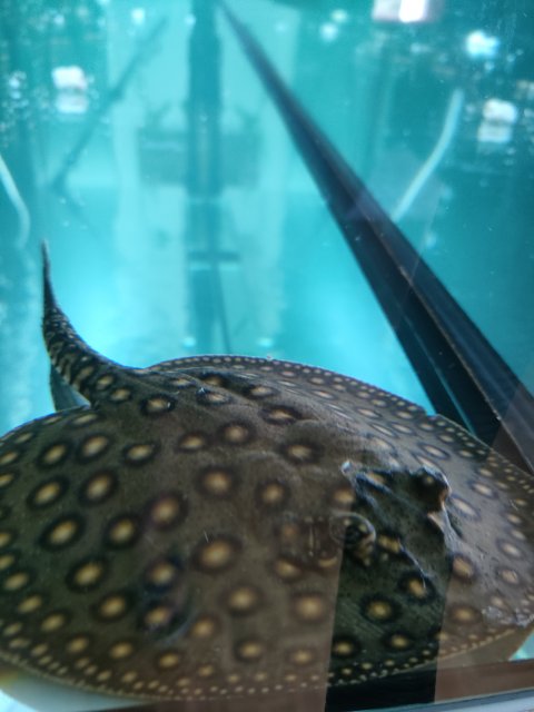 IMG20230725135540.jpg