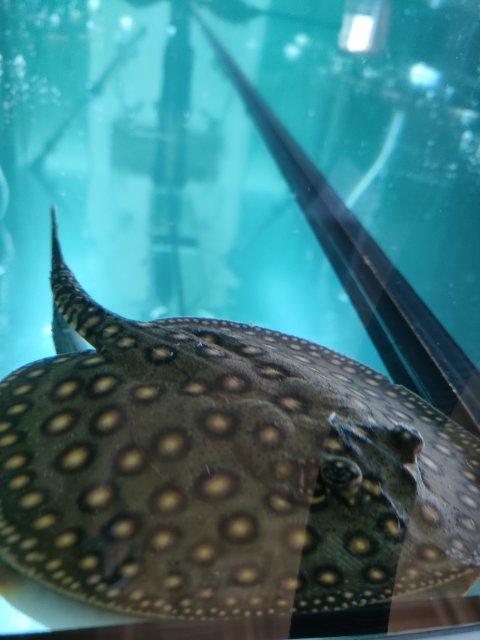IMG20230725135535.jpg