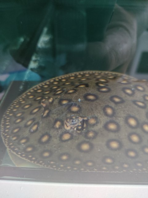 IMG20230725135507.jpg