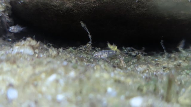 PXL_20230725_034652649.jpg