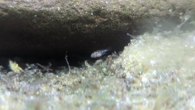 PXL_20230725_034649869.jpg