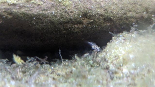 PXL_20230725_034648578.jpg