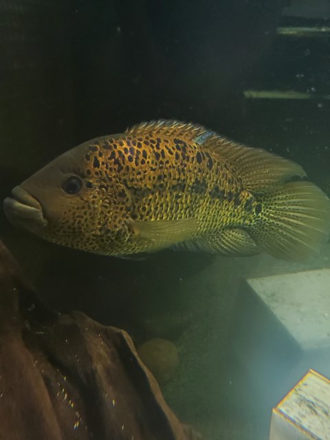 20230626_123253.jpg