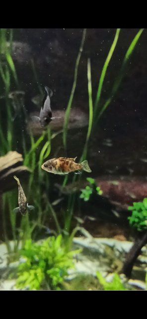 Screenshot_2023-07-27-20-01-23-446_com.miui.gallery.jpg Screenshot_2023-07-27-20-01-23-446_com.miui.gallery.jpg