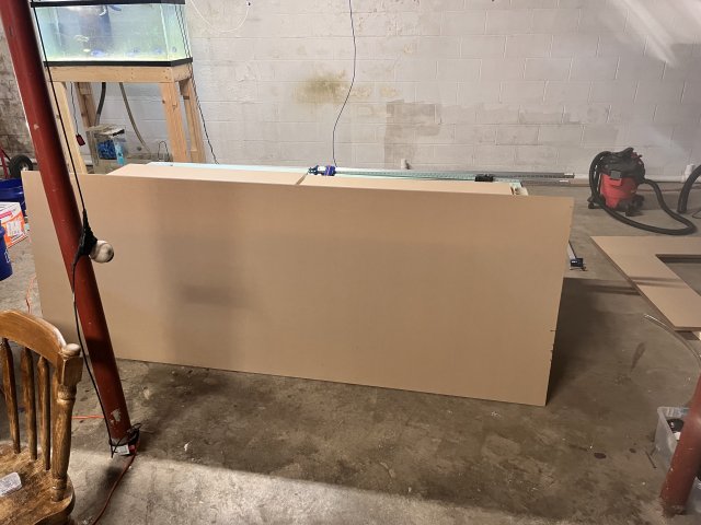 IMG_5290.jpeg IMG_5290.jpeg