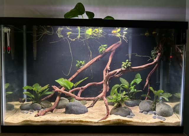 IMG_0360.jpeg IMG_0360.jpeg