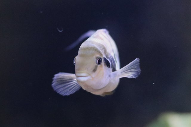 IMG_1840.jpeg IMG_1840.jpeg