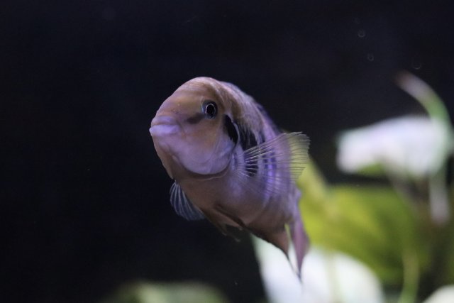 IMG_1818.jpeg IMG_1818.jpeg