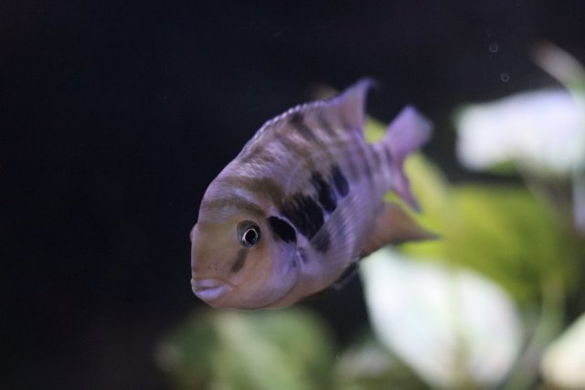 IMG_1800.jpeg IMG_1800.jpeg