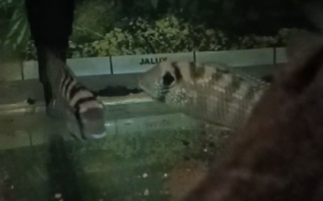 Screen Shot 2023-07-28 at 16.36.54.png