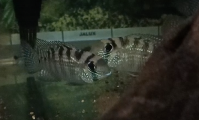 Screen Shot 2023-07-28 at 16.37.07.png