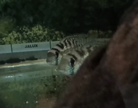 Screen Shot 2023-07-28 at 16.39.36.png