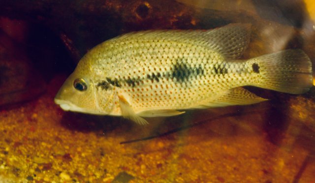 IMG_9757.jpeg IMG_9757.jpeg