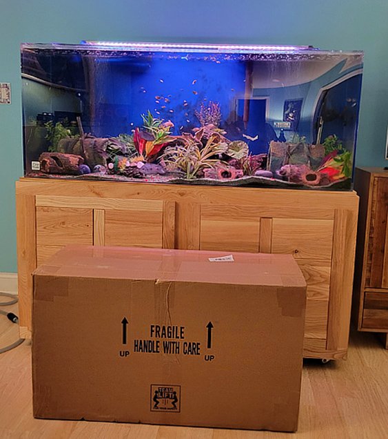 nu tank in box.jpg