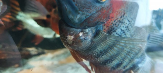 WhatsApp Image 2023-08-12 at 13.29.25.jpeg WhatsApp Image 2023-08-12 at 13.29.25.jpeg