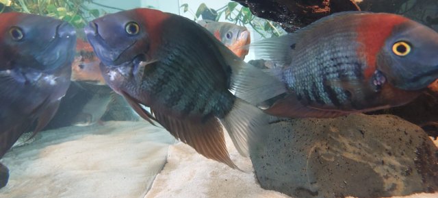 WhatsApp Image 2023-08-12 at 13.28.47.jpeg WhatsApp Image 2023-08-12 at 13.28.47.jpeg