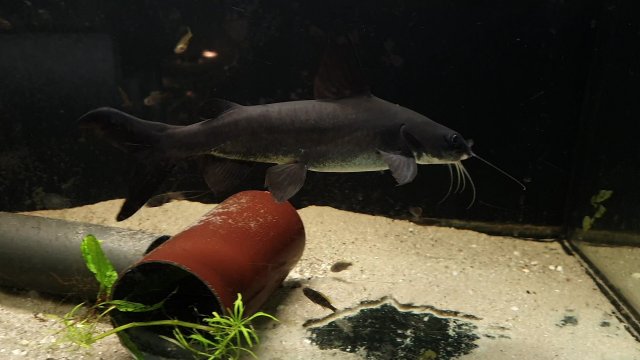 VideoCapture_20230813-063219.jpg VideoCapture_20230813-063219.jpg