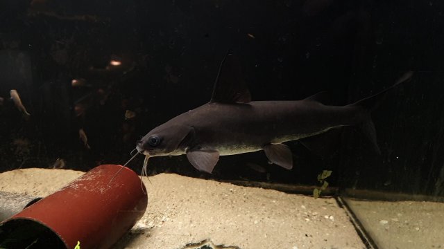 VideoCapture_20230813-063157.jpg VideoCapture_20230813-063157.jpg