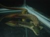DSC03314.JPG