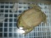 DSC04267.JPG