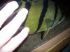 100_6791.JPG 100_6791.JPG