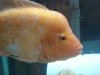 DSC01134.JPG