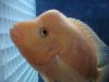 DSC01142.JPG