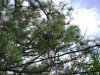 DSC00367 (Medium).JPG