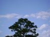 DSC00419 (Medium).JPG