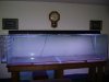 DSC00451 (Medium).JPG