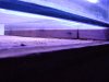 DSC00460 (Medium).JPG
