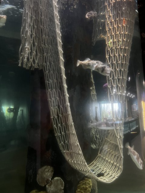 13A0D9E5-7910-4FD1-B65E-08F6AEDB7884.jpeg
