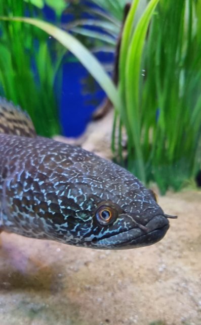 20230820_203704.jpg 20230820_203704.jpg