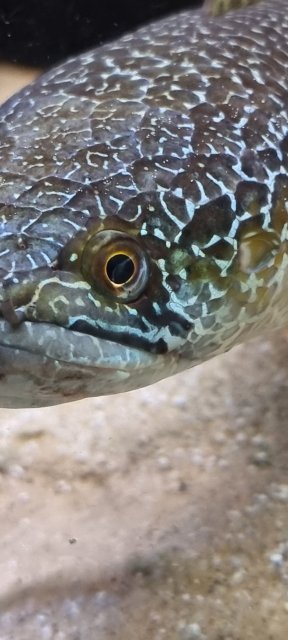 20230813_184312.jpg 20230813_184312.jpg