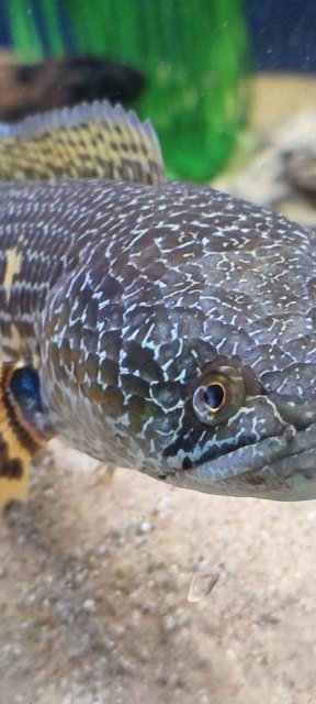 20230813_184308.jpg 20230813_184308.jpg