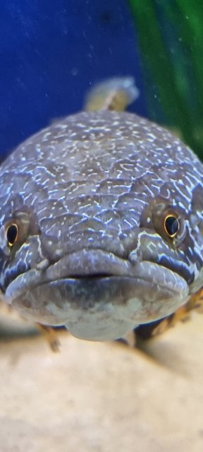 20230813_184302.jpg 20230813_184302.jpg