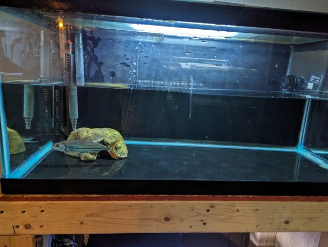 PXL_20230823_031351931.jpg PXL_20230823_031351931.jpg