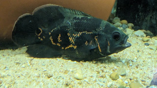 PXL_20230823_075521539.jpg PXL_20230823_075521539.jpg