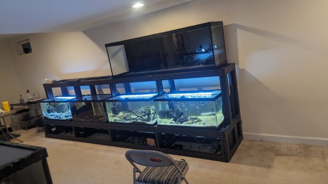 PXL_20230827_002213331.jpg