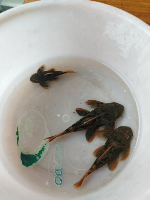 aIMG_20230831_085712.jpg