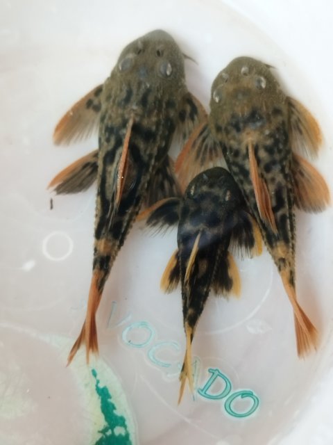 aIMG_20230831_085725.jpg