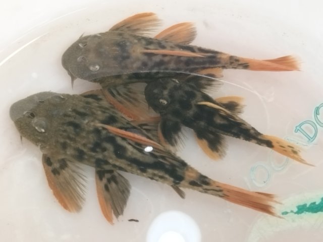 aIMG_20230831_085754.jpg
