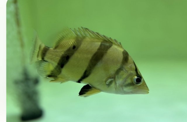 IMG_5514.jpeg
