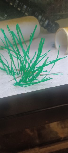 20230906_152352.jpg