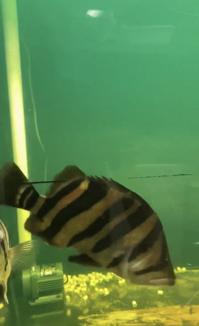 IMG_9946.jpeg IMG_9946.jpeg