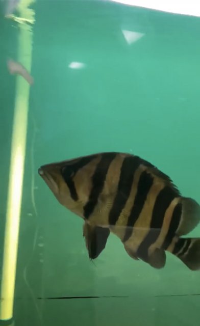 IMG_9947.jpeg IMG_9947.jpeg